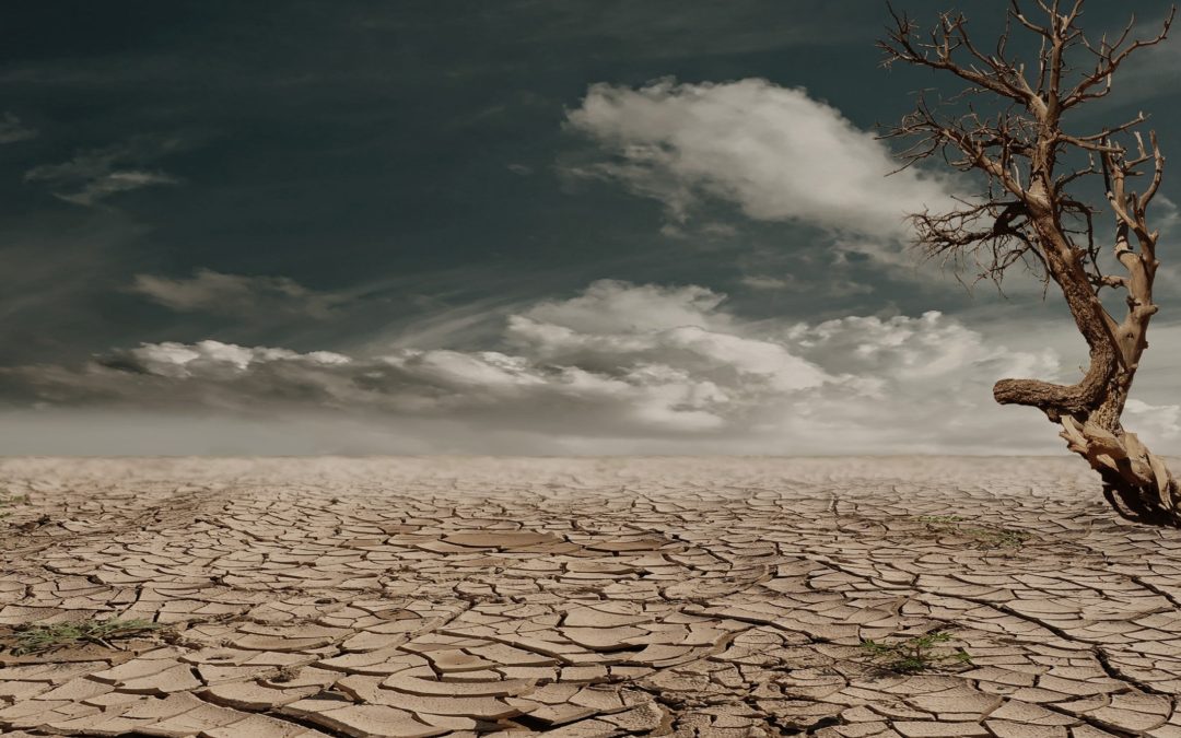 CDMX, Baja California y Guanajuato, las tres entidades con mayor riesgo de quedarse sin agua